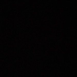 Meet your Posher, Toree